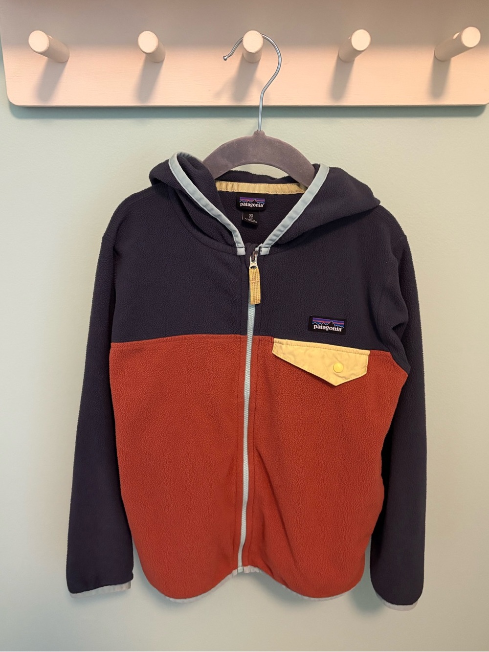 Patagonia Micro D Snap-T Fleece Jacket